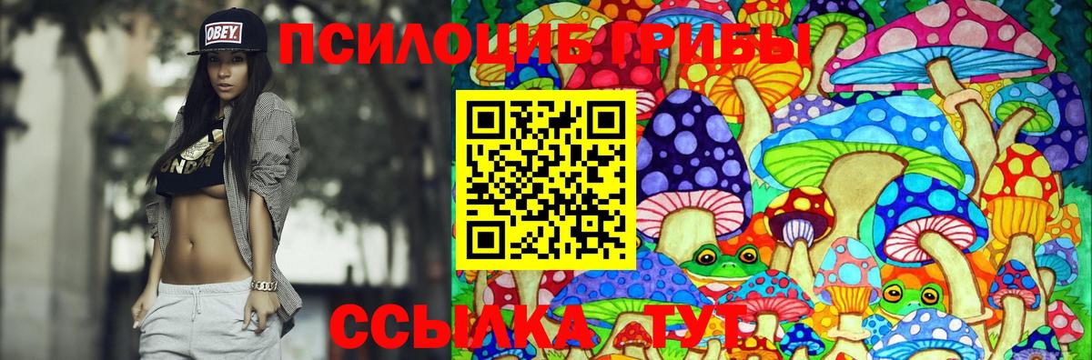 купить наркотик  Галлюциногенные грибы Psilocybine cubensis  Вход с VPN  Псилоцибиновые грибы прущие грибы  Мариинск 