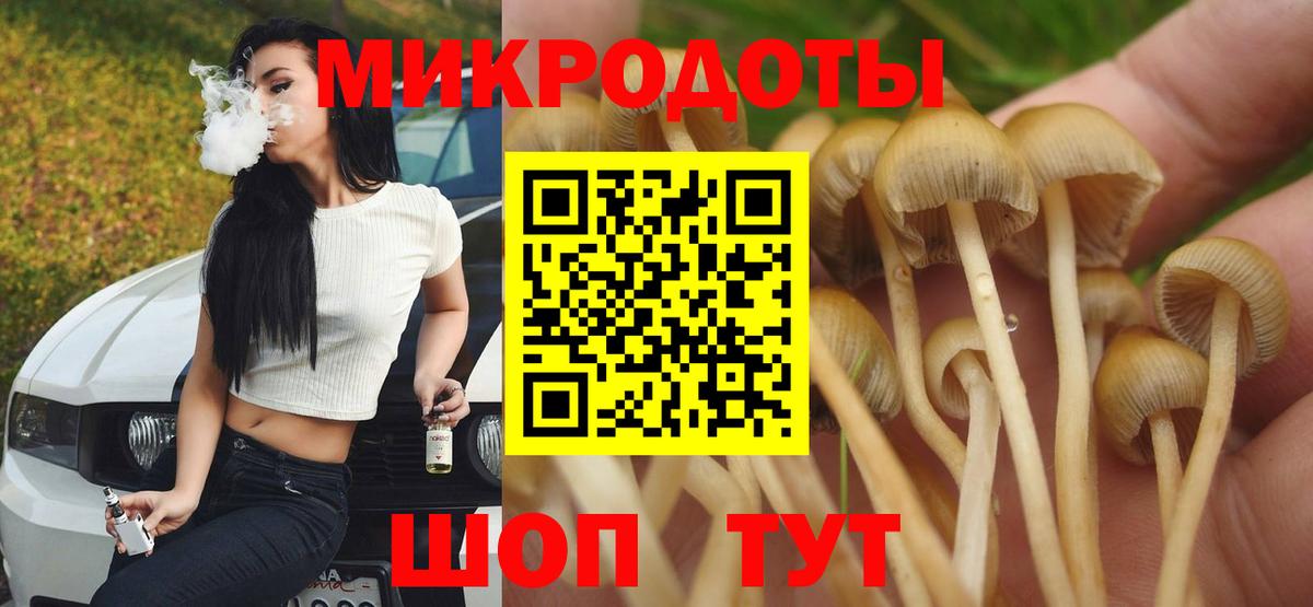 Псилоцибиновые грибы прущие грибы Мариинск